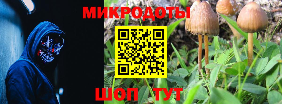 Галлюциногенные грибы мухоморы Ачинск